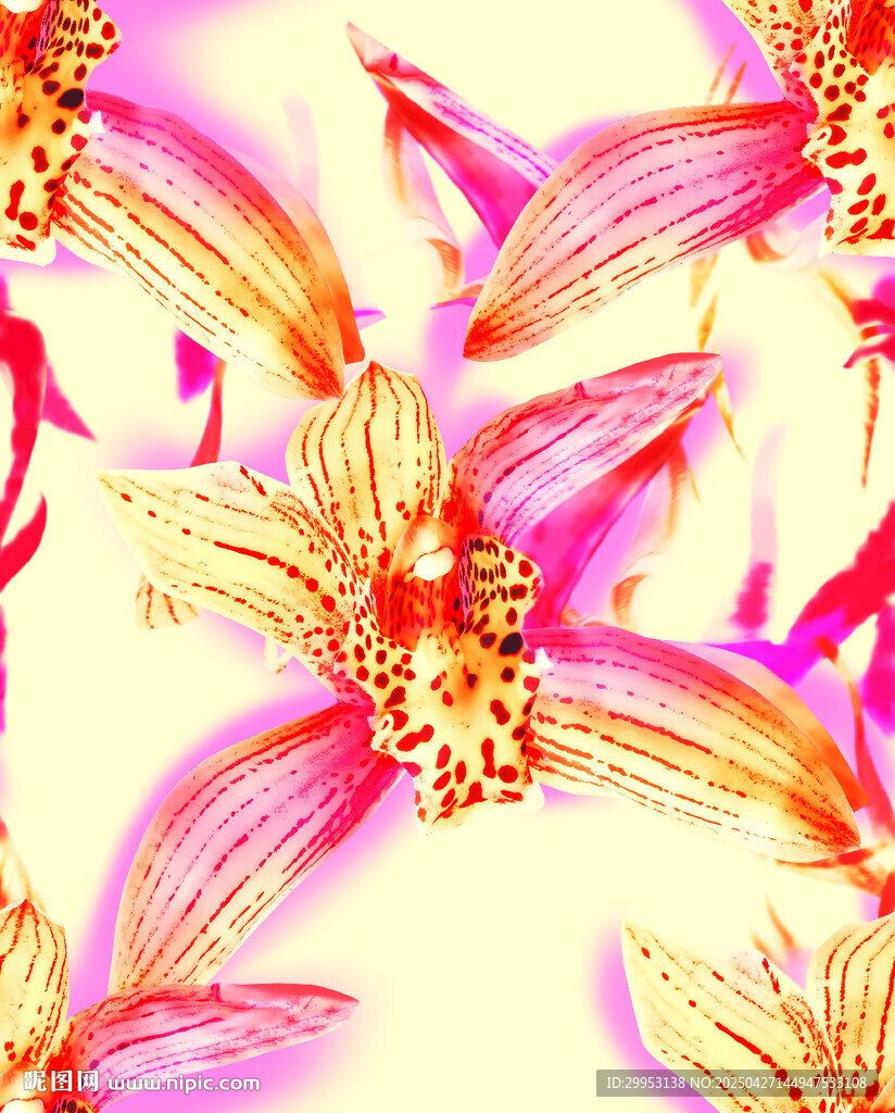 绚丽多彩兰花花卉图案
