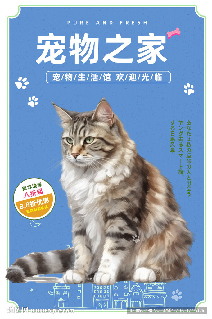 宠物