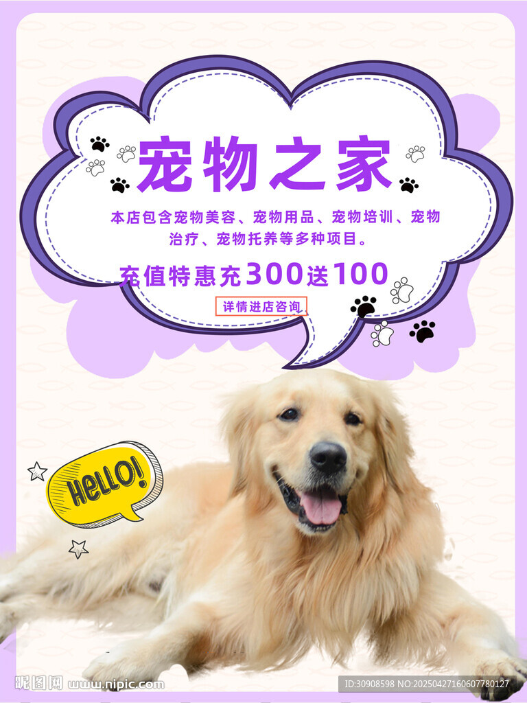 宠物