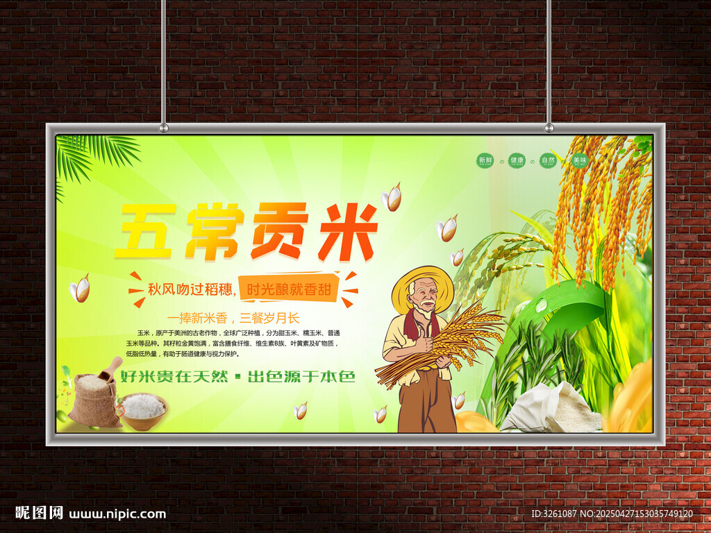 水稻展板