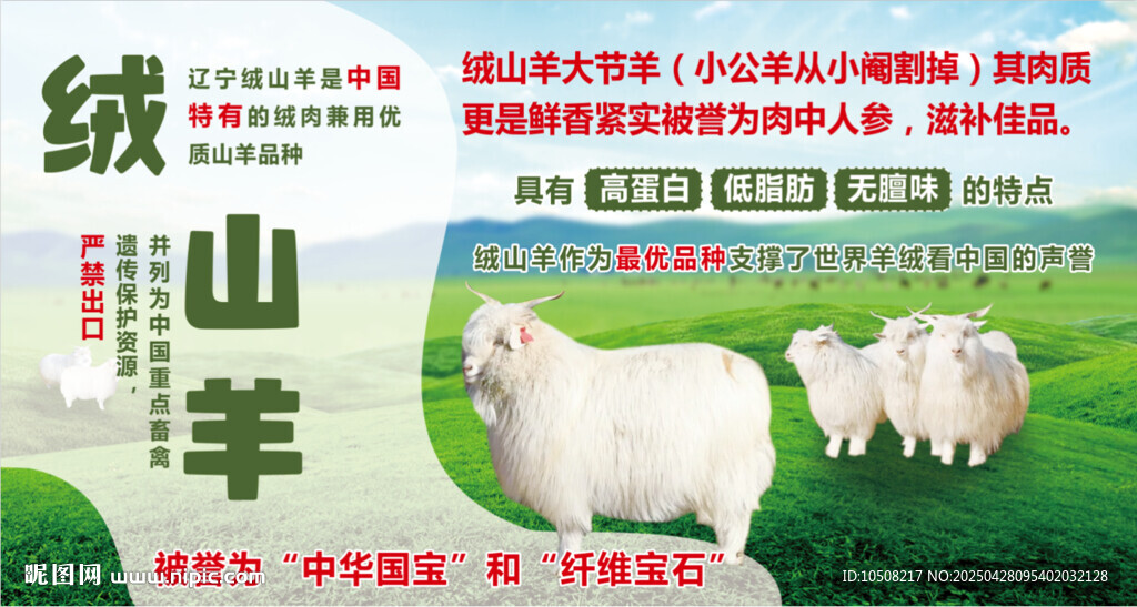 绒山羊