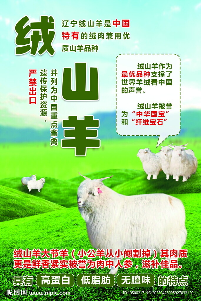 绒山羊