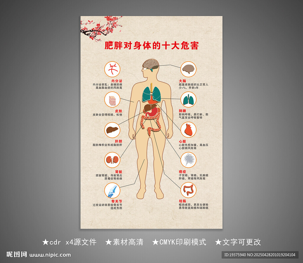 肥胖的十大危害