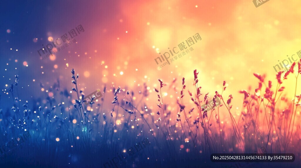 梦幻花草间的绚烂光影