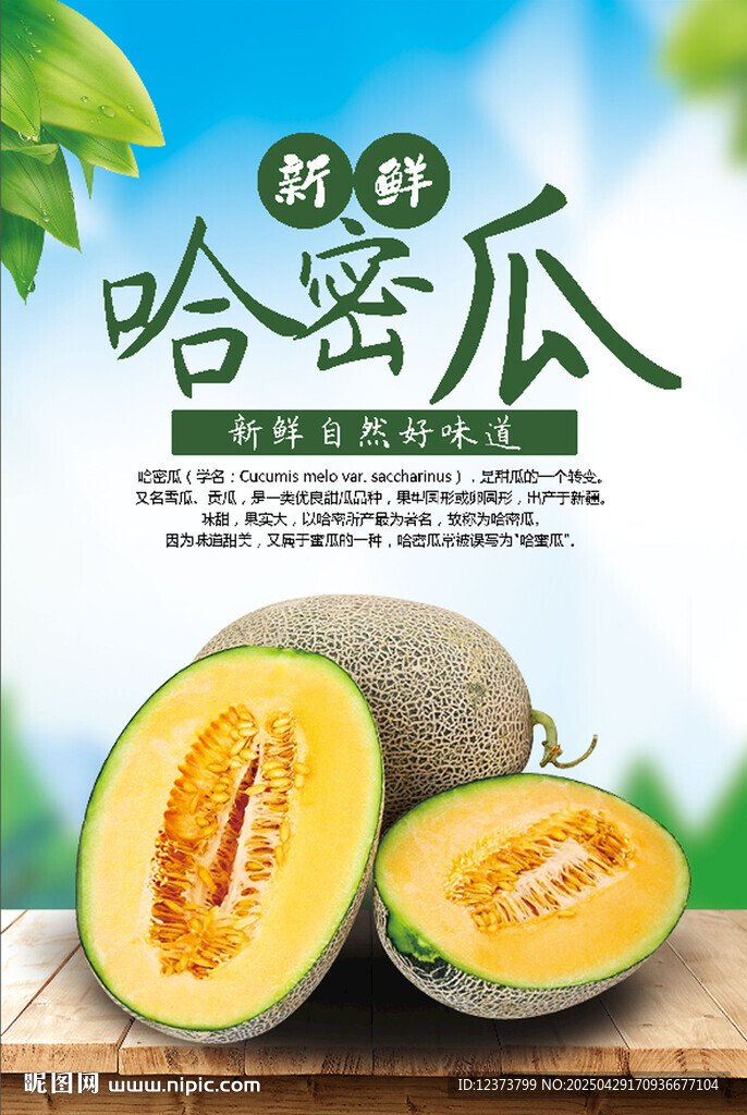 哈密瓜