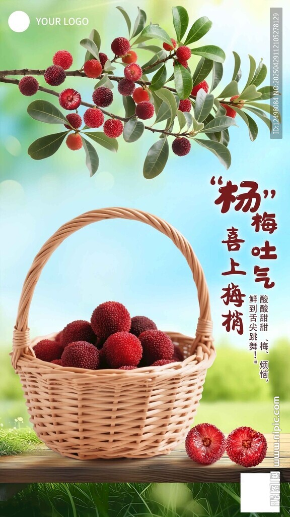 杨梅海报
