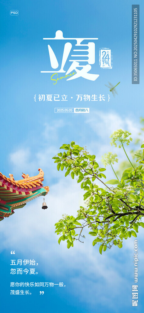 立夏节气海报