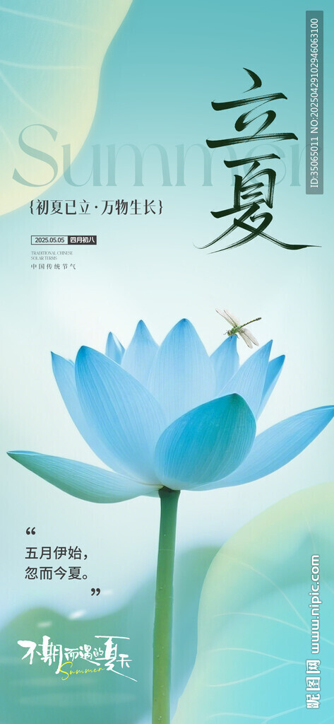立夏节气海报