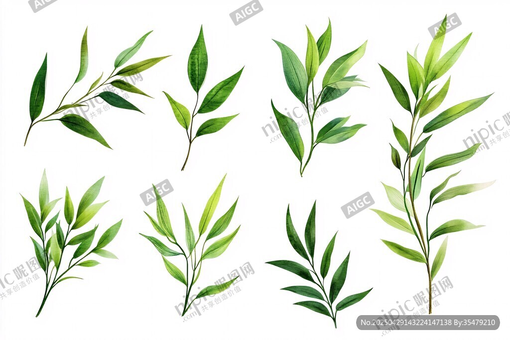 清新手绘风绿叶植物素材