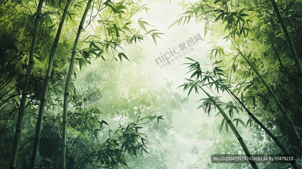 翠绿竹林间的清新景致