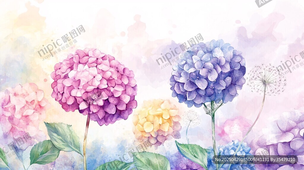 梦幻水彩绣球花绽放