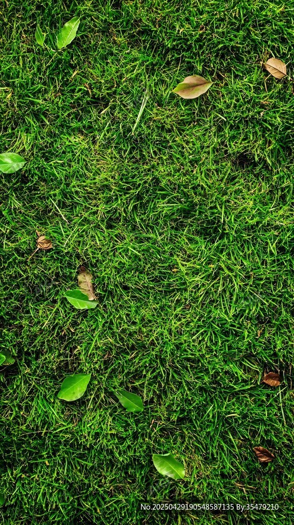 翠绿草地散落几片叶子