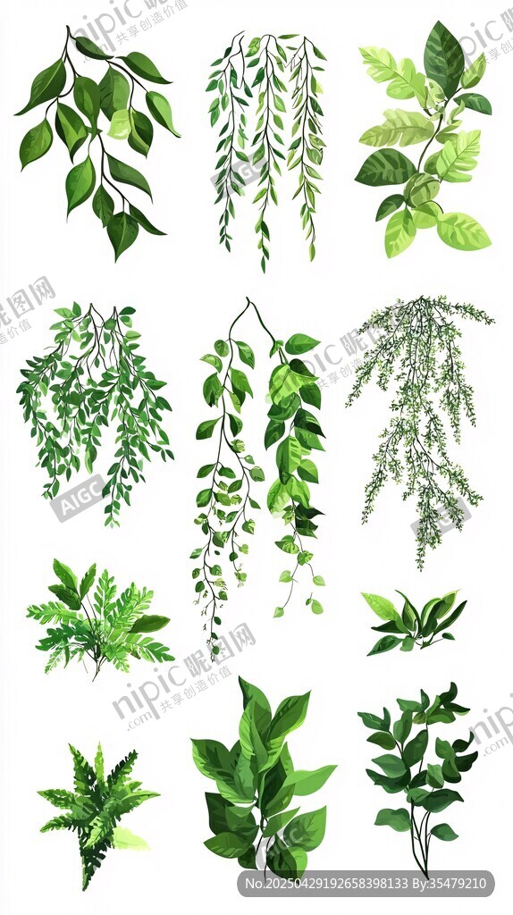 清新手绘风绿色植物集合