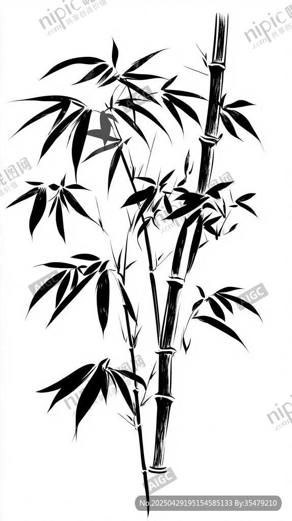 水墨风单枝竹子插画