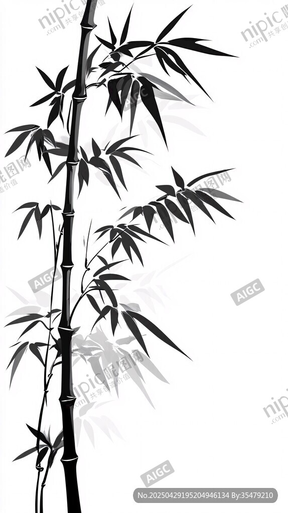 水墨风单枝竹子插画