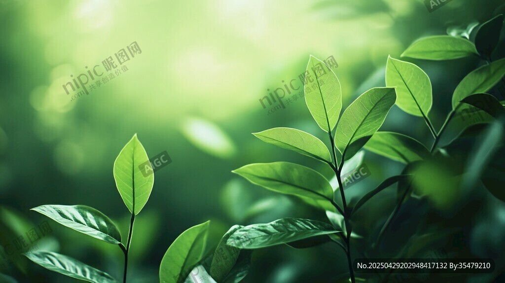 嫩绿新叶 清新自然之景