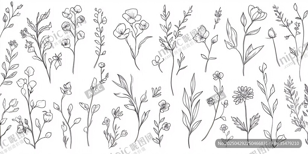 手绘花卉植物线条图案