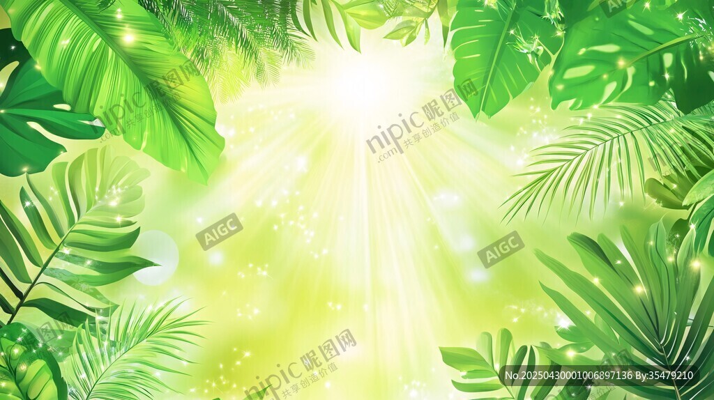 阳光洒落的热带绿叶景观