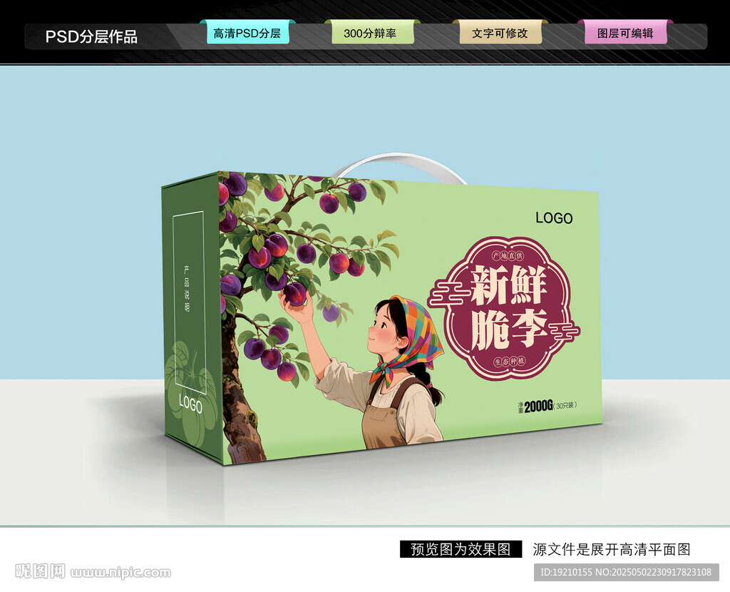 李子包装 黑布林礼盒