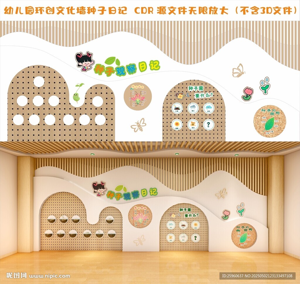 幼儿园环创种子观察日记