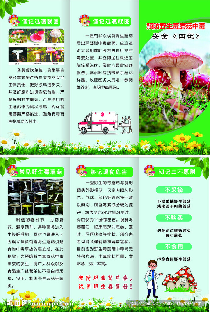 预防野生菌中毒