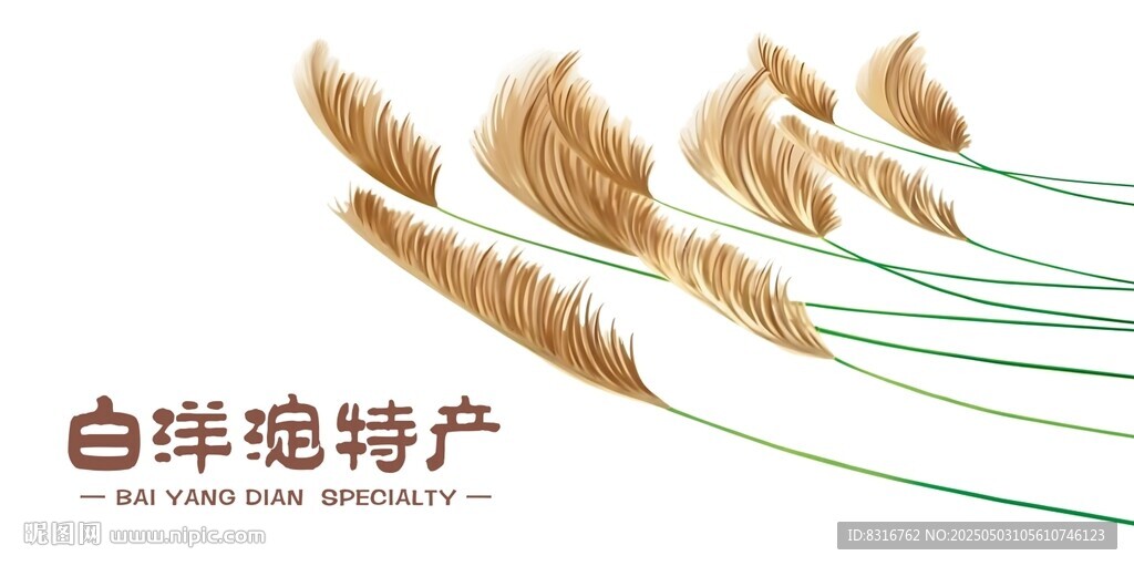 白洋淀特产