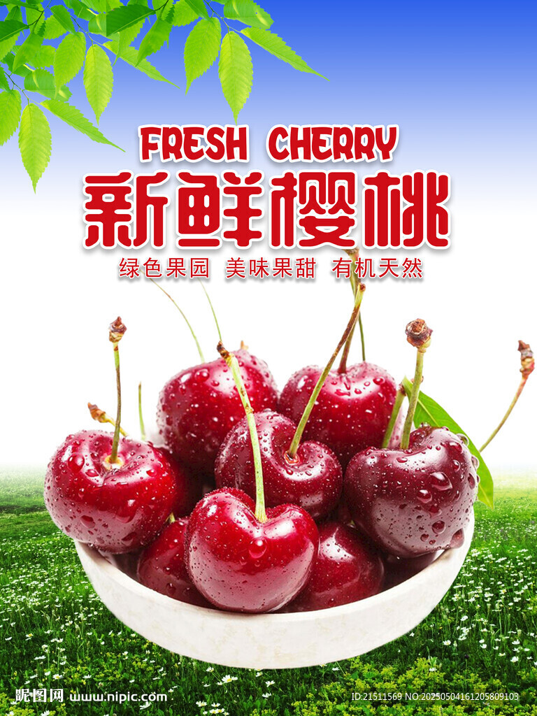 樱桃