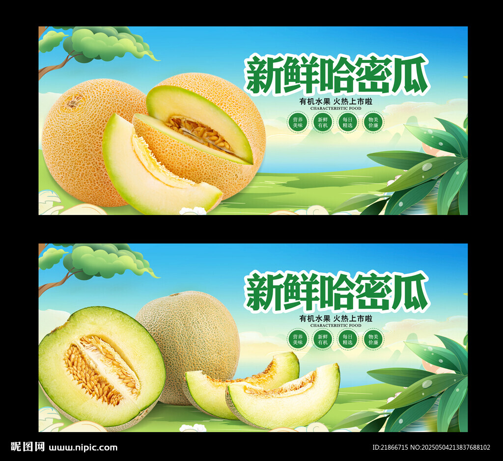 哈密瓜