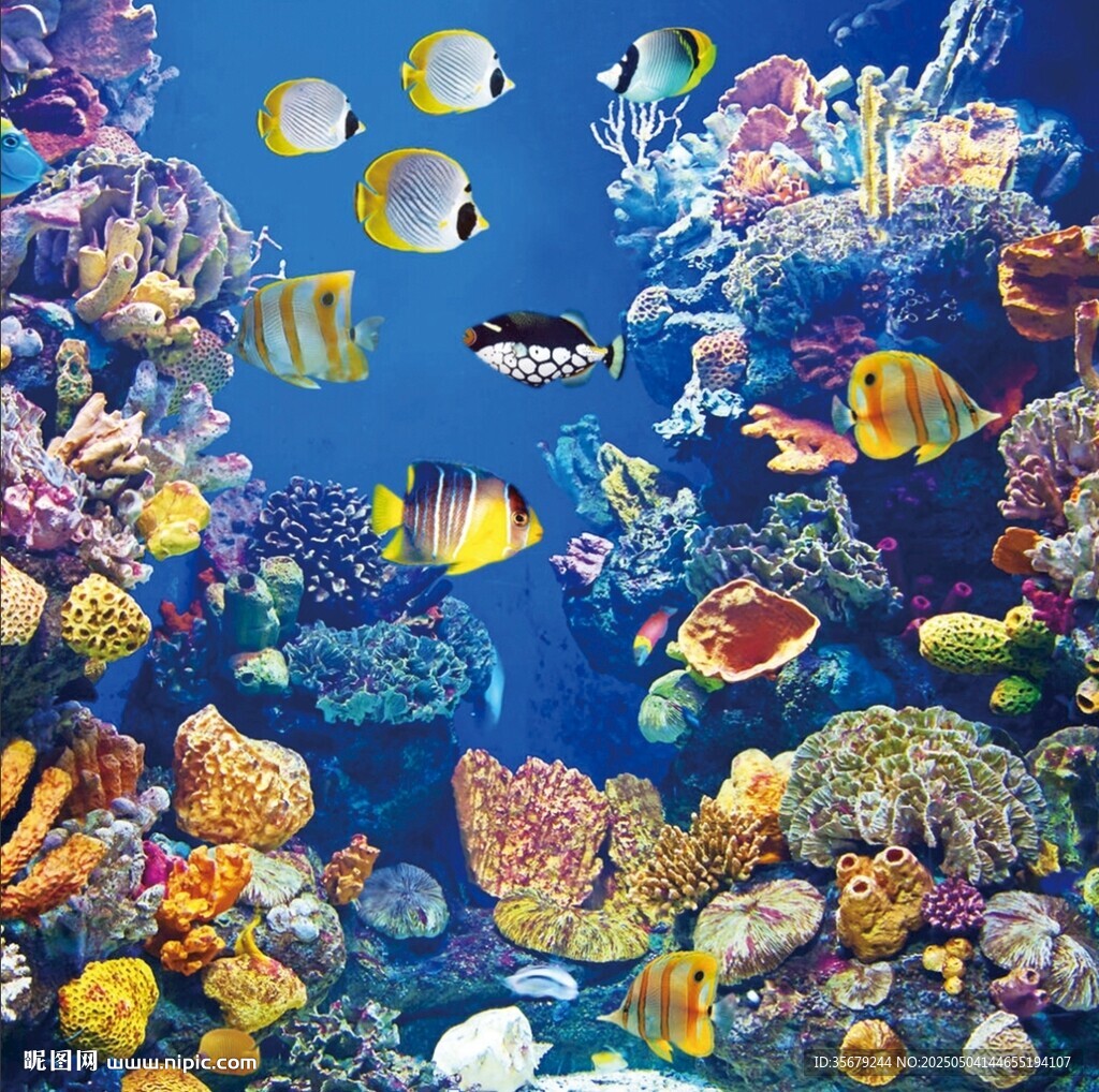 海底世界