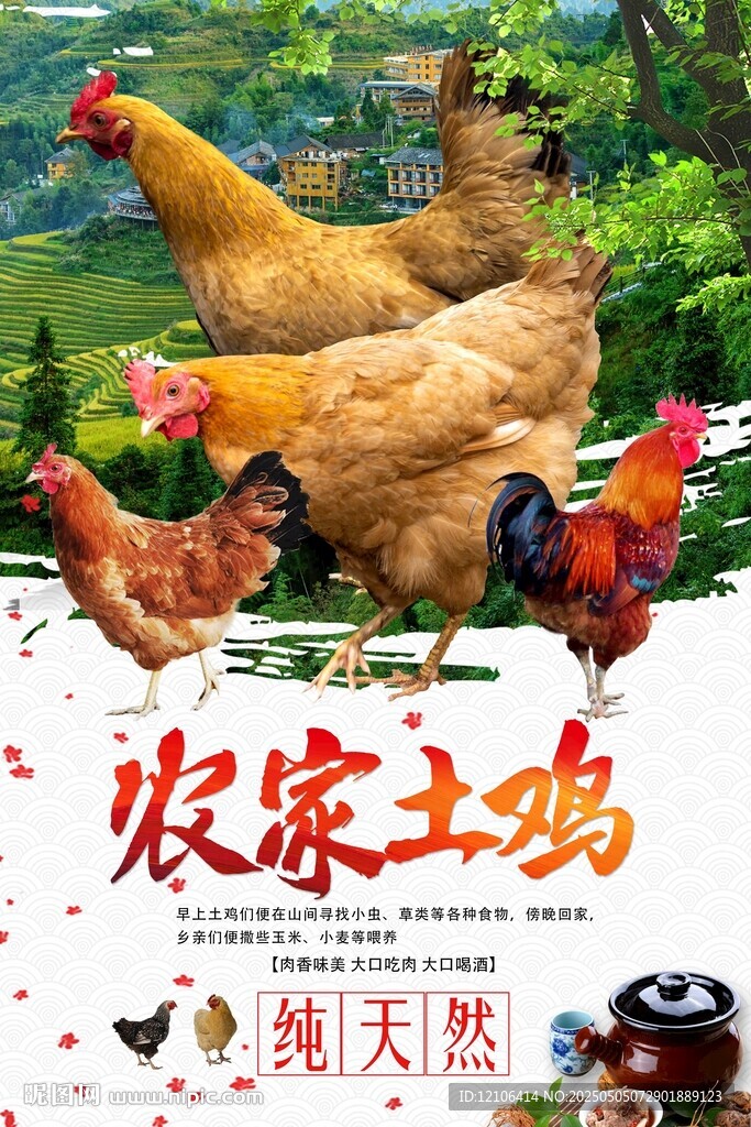 农家土鸡