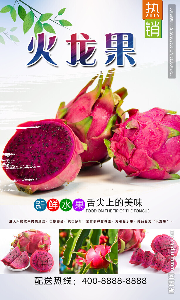 火龙果  