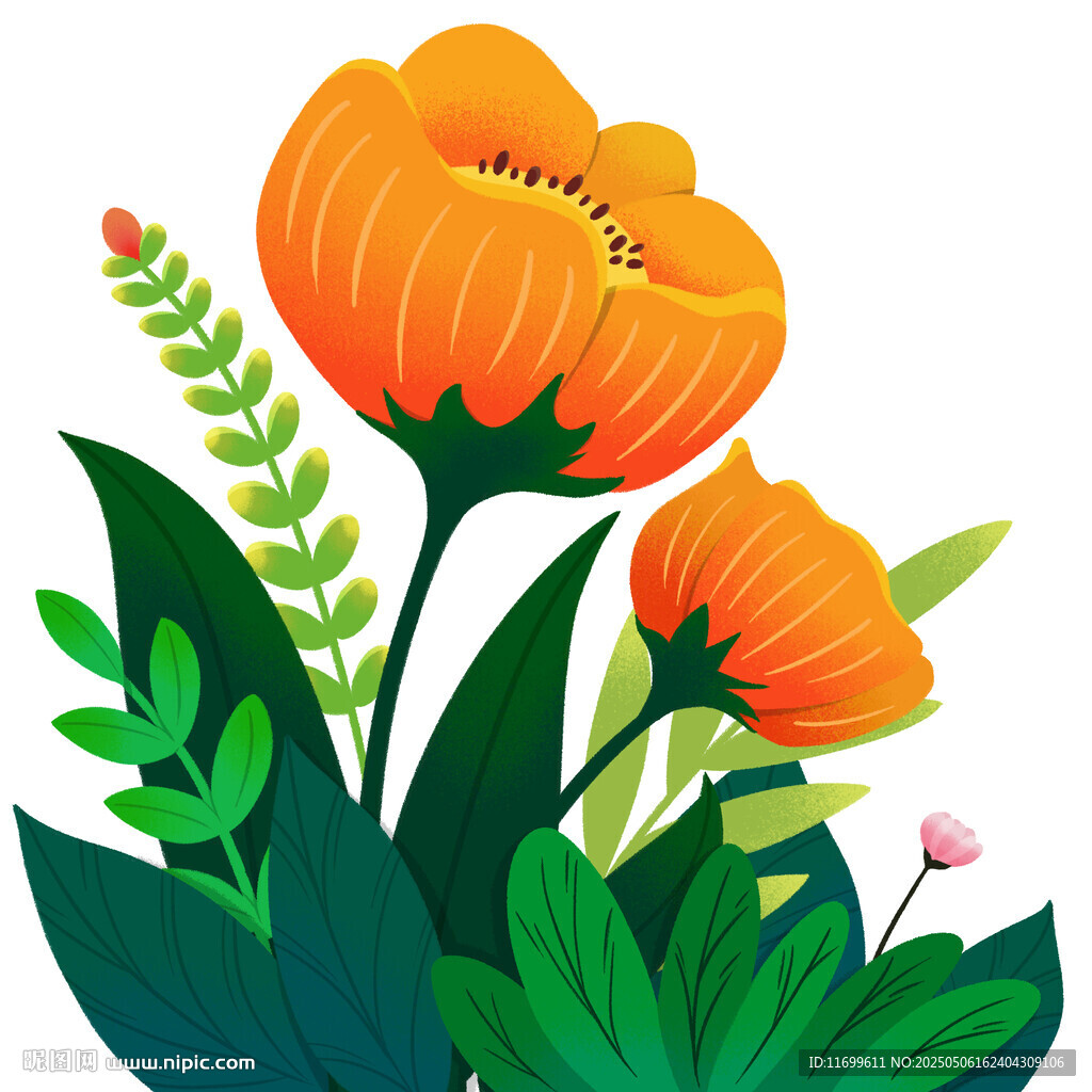 花花草草装饰