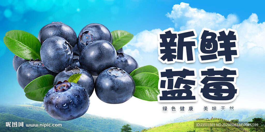 蓝莓
