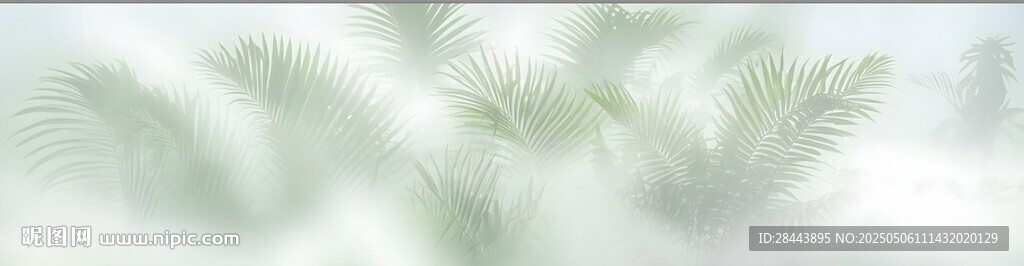 清新绿植背景图