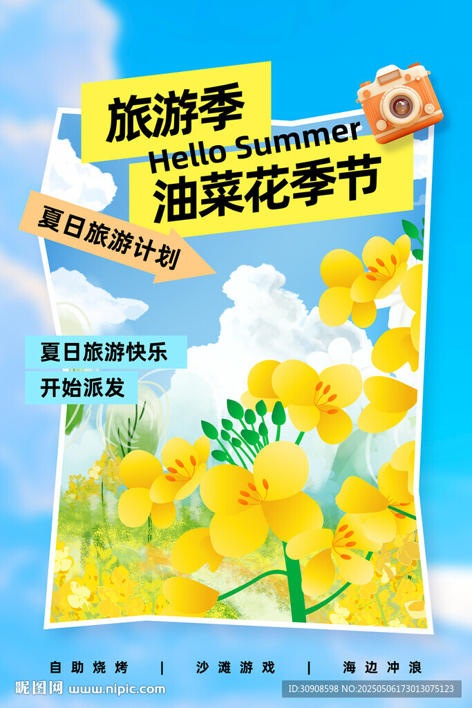 油菜花