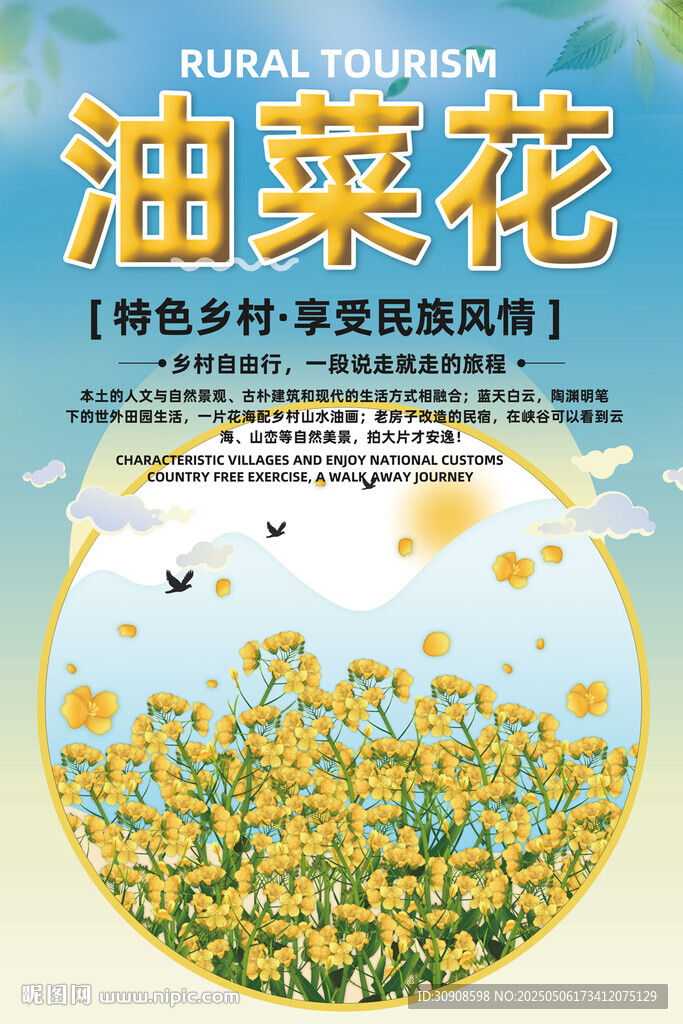 油菜花
