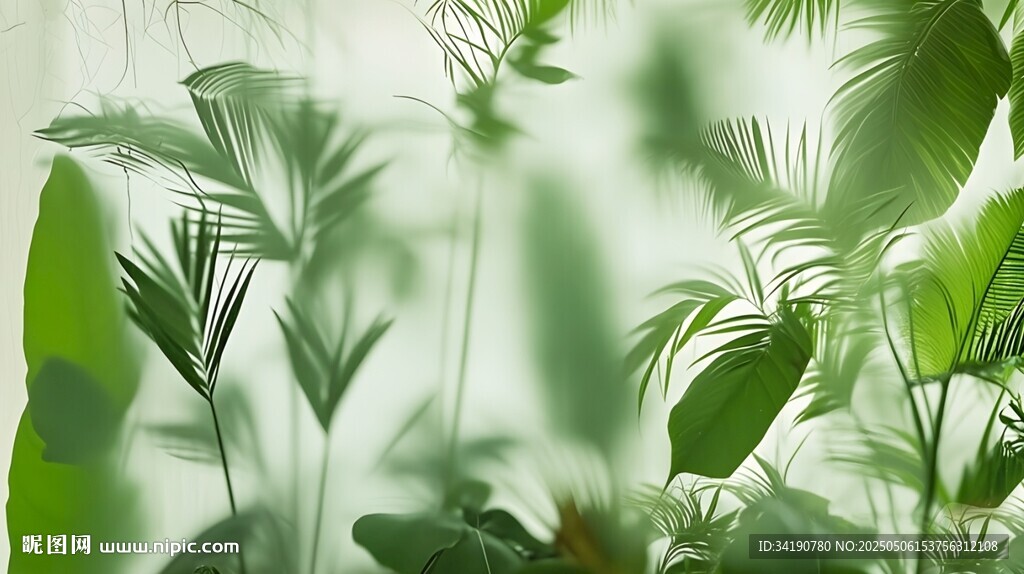 雾气磨砂膜效果绿植贴图