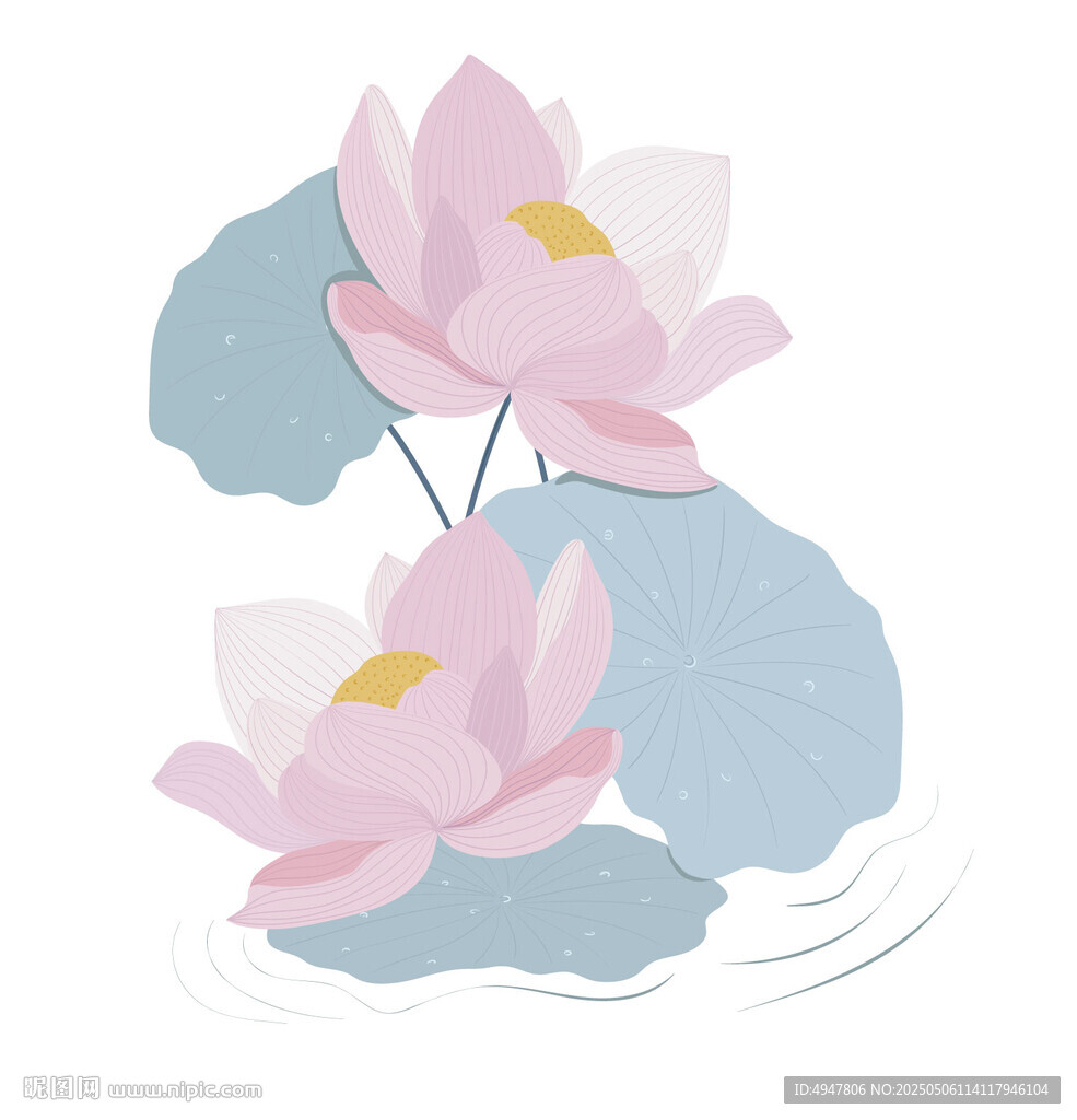 手绘粉色荷花与荷叶 矢量图