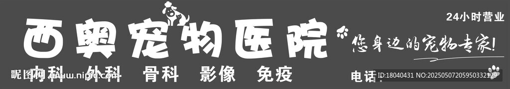 宠物