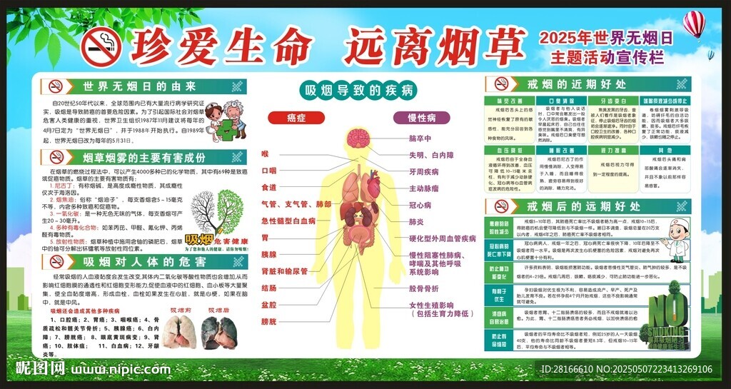 世界无烟日宣传栏