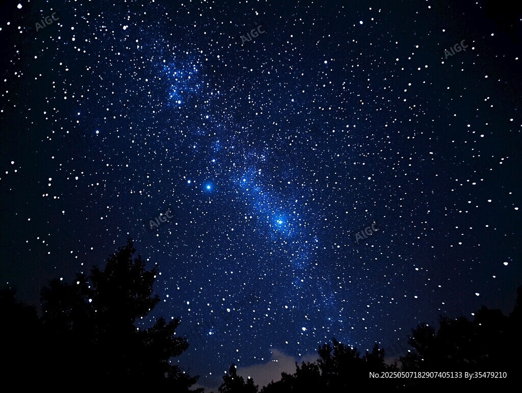 璀璨星空下的静谧森林