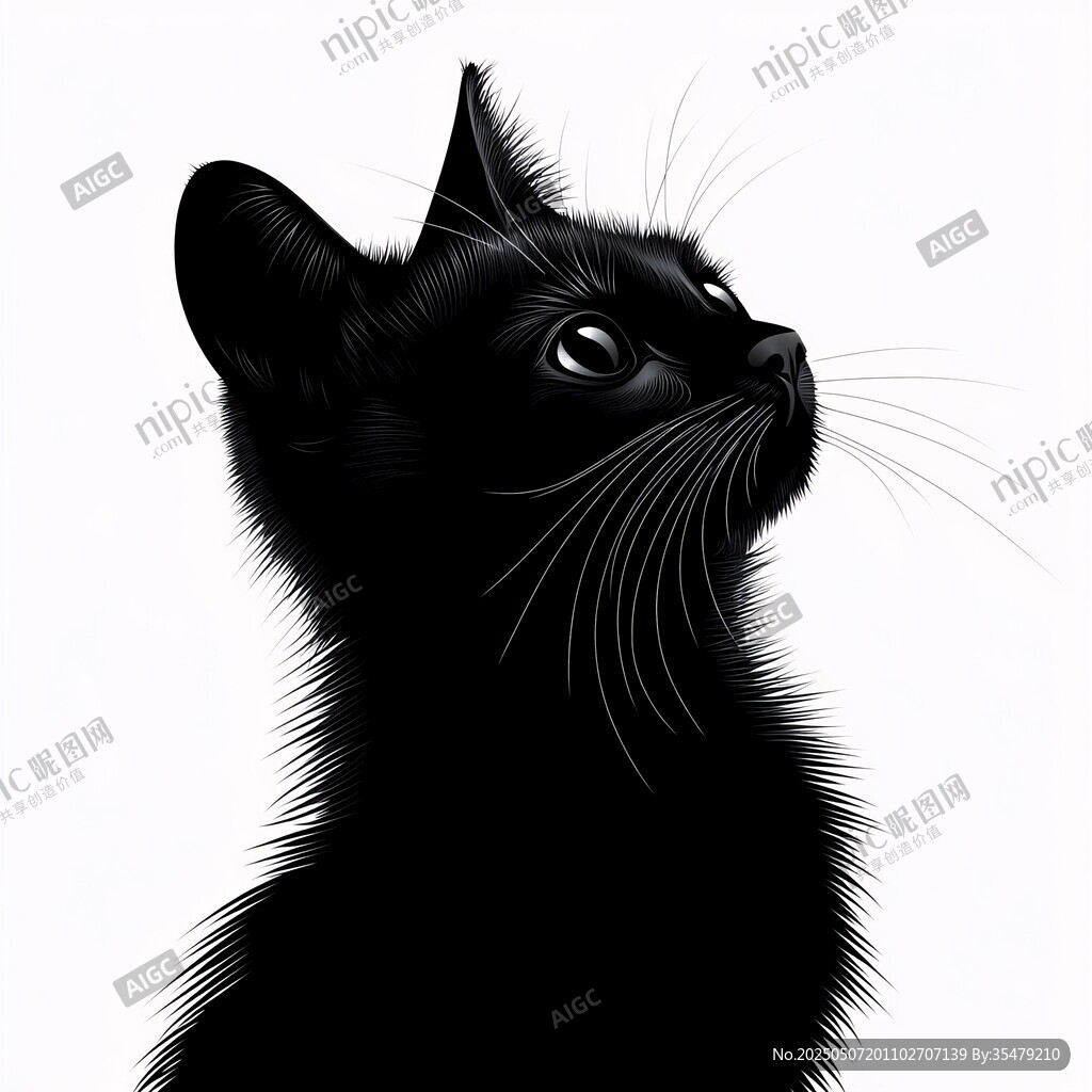 仰望的小黑猫