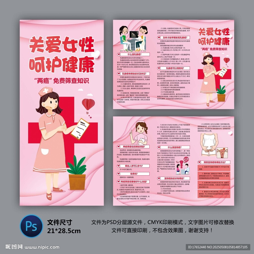 两癌筛查知识三折页