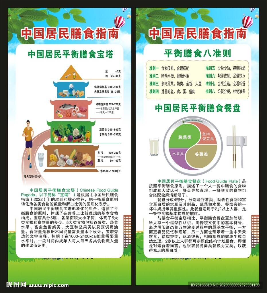 中国居民膳食指南展架