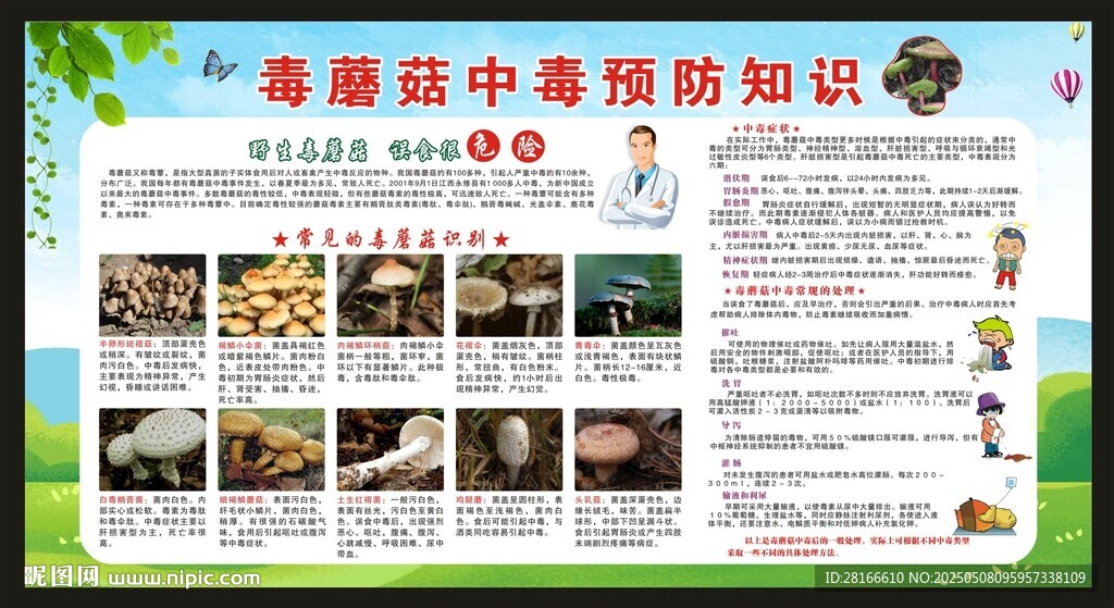 预防毒蘑菇中毒知识宣传栏