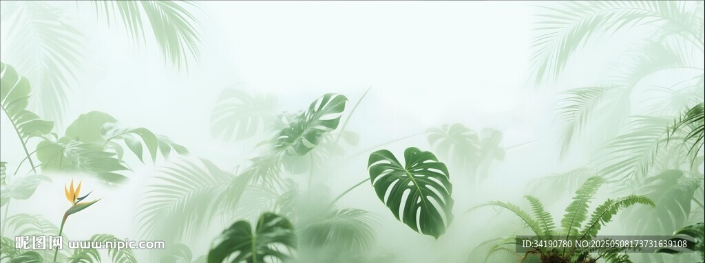 热带雨林绿植磨砂模糊雾气贴图