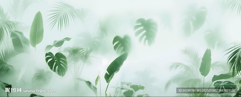 热带雨林绿植磨砂模糊雾气贴图