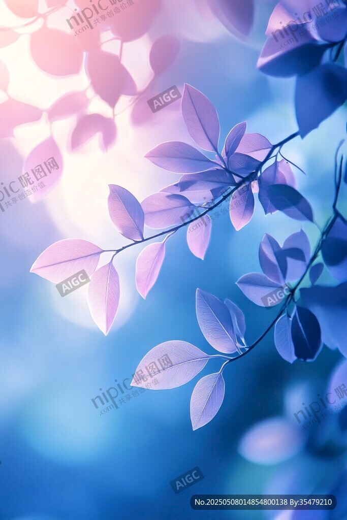 梦幻紫叶 光影交织之美