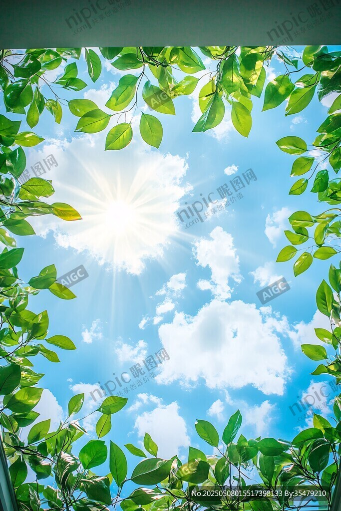绿叶间的阳光与蓝天美景