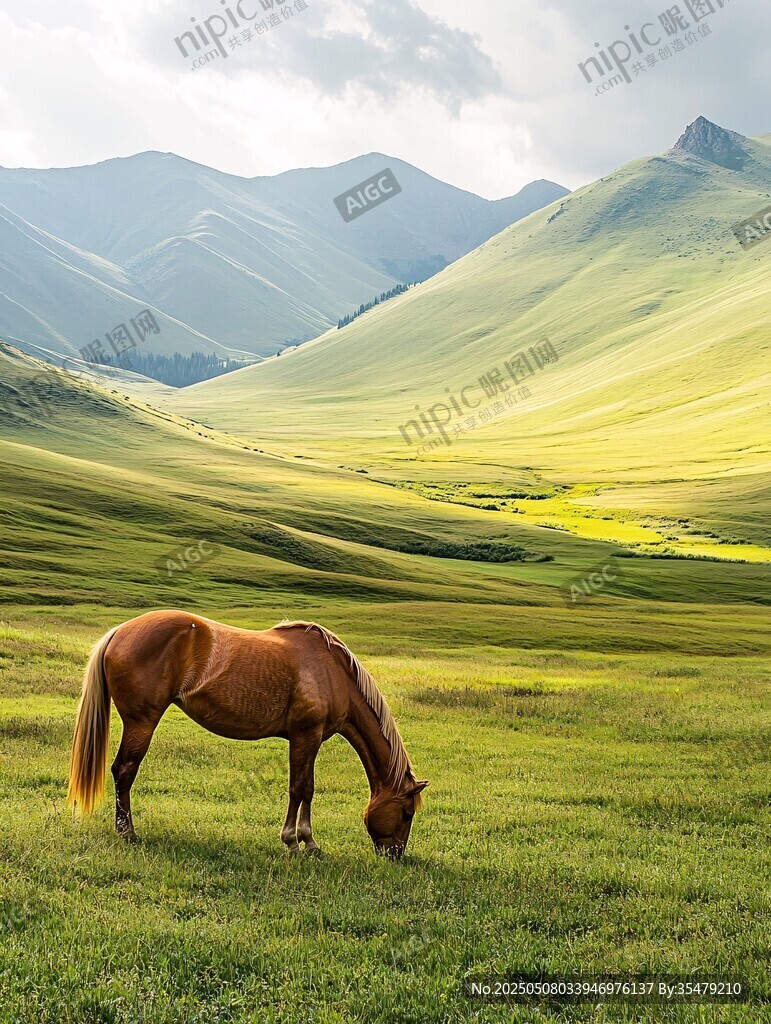 草原上的独马与青山美景